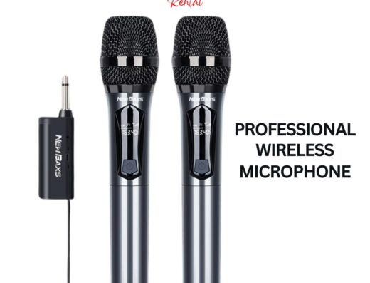 wireless mic 2